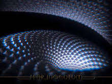 Fear Inoculum album cover