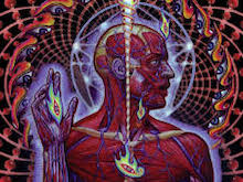 Lateralus album cover