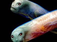 Vicarious video scene